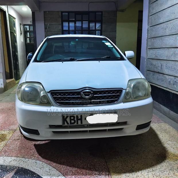 Toyota Corolla 2004 White