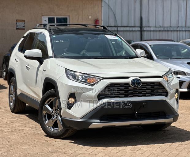 Toyota RAV4 XLE Premium AWD 2019 Pearl
