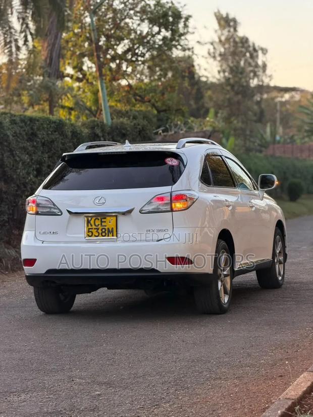 Lexus RX 2010 White
