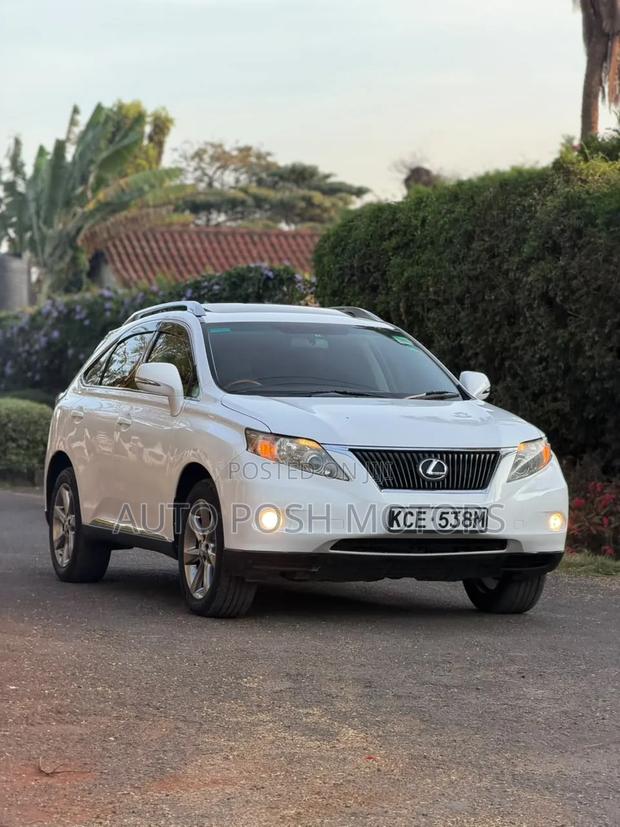 Lexus RX 2010 White
