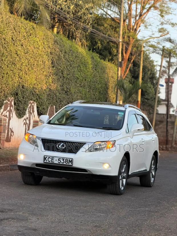 Lexus RX 2010 White