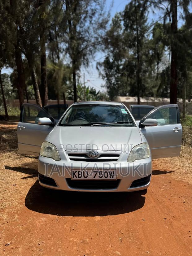 Toyota Allex 2007 Silver