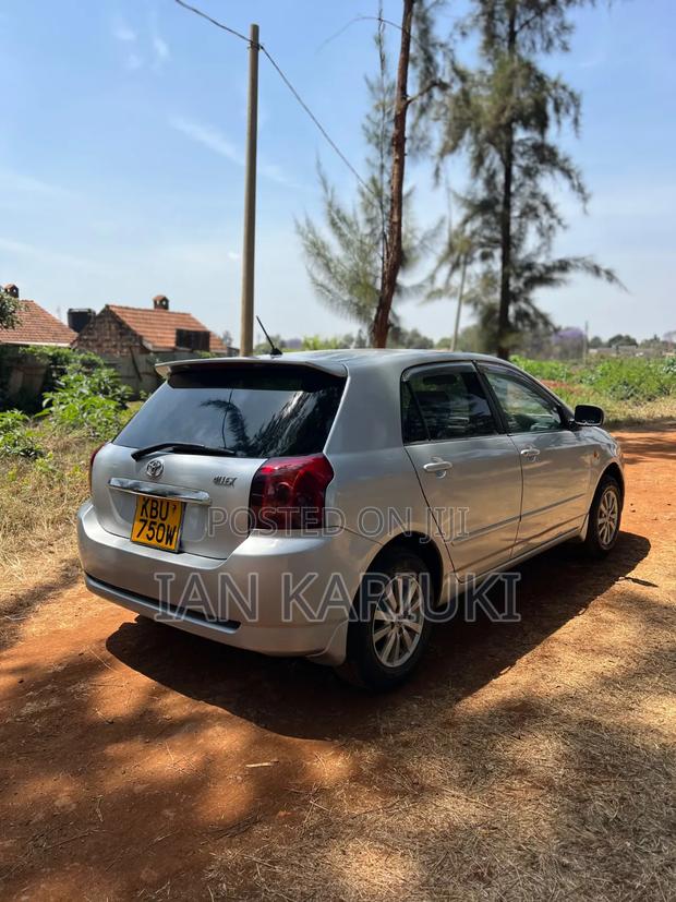 Toyota Allex 2007 Silver