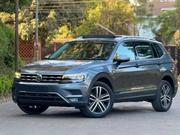 Volkswagen Tiguan 2.0T S AWD 4MOTION 2019 Gray for sale