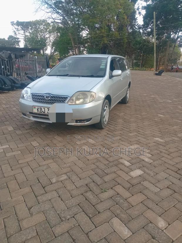 Toyota Corolla Fielder 2004 Silver