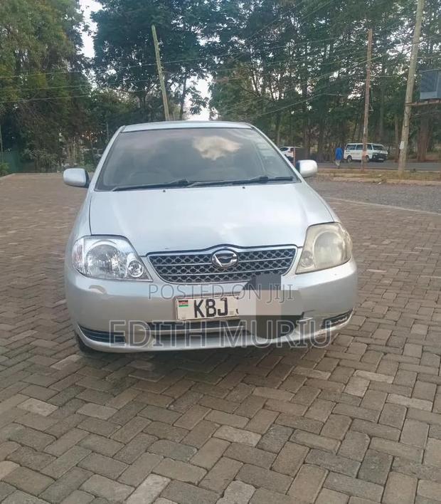 Toyota Corolla Fielder 2006 Silver