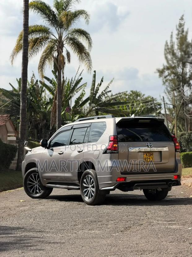 Toyota Land Cruiser Prado 2017 Gray