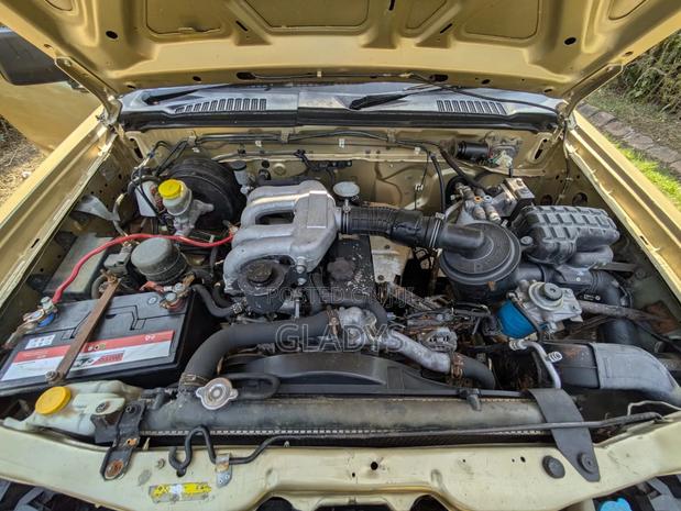 Nissan Hardbody 2007 Gold