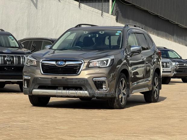 Subaru Forester 2019 Brown