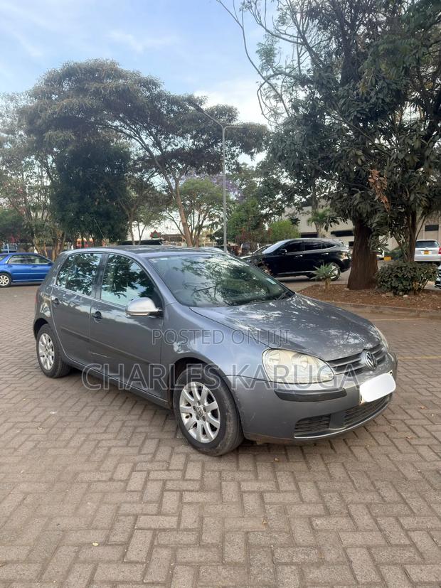 Volkswagen Golf 2005 Gray