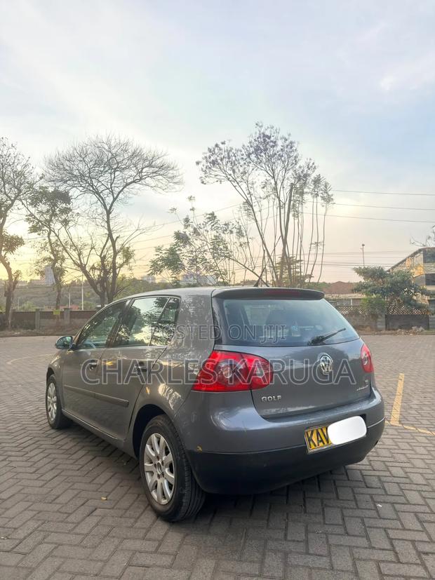 Volkswagen Golf 2005 Gray