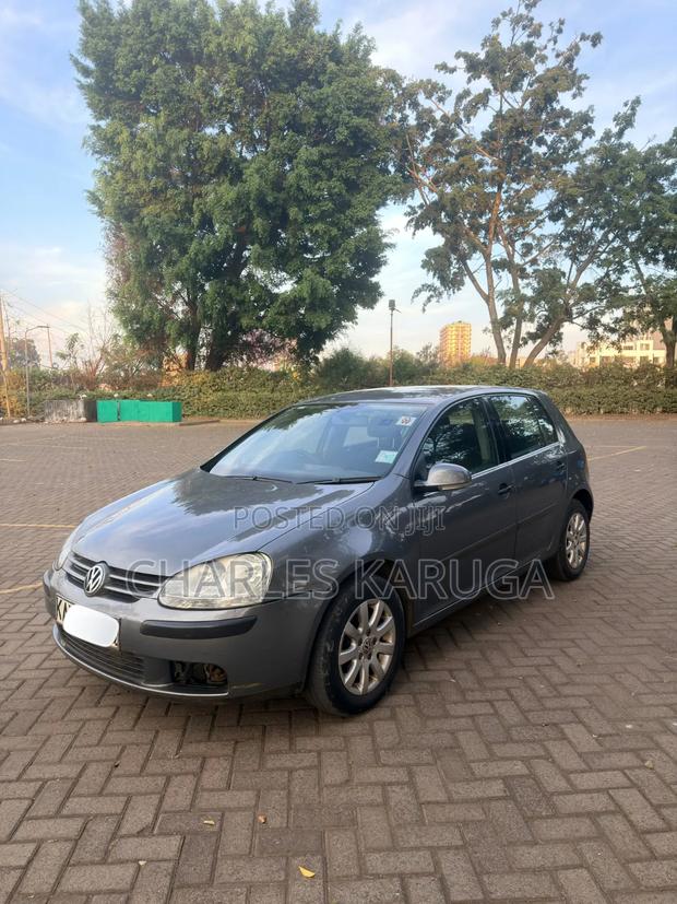 Volkswagen Golf 2005 Gray