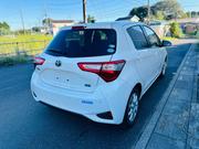 Toyota Vitz 1.5 FWD Hybrid 5dr 2019 White for sale