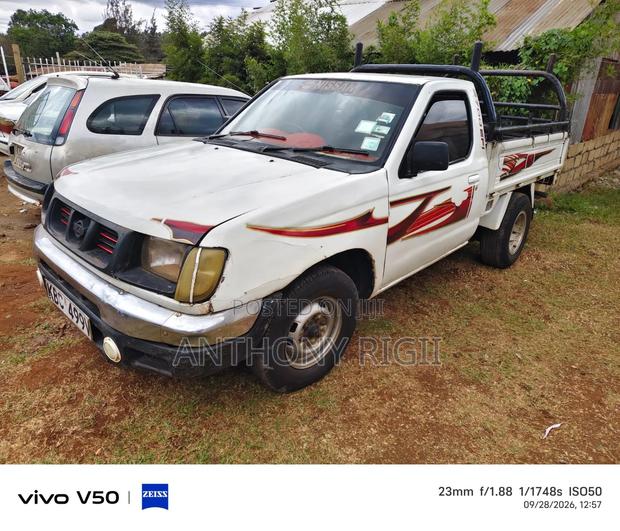 Nissan Hardbody 2004 White