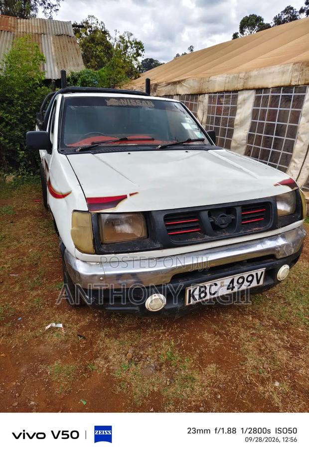 Nissan Hardbody 2004 White