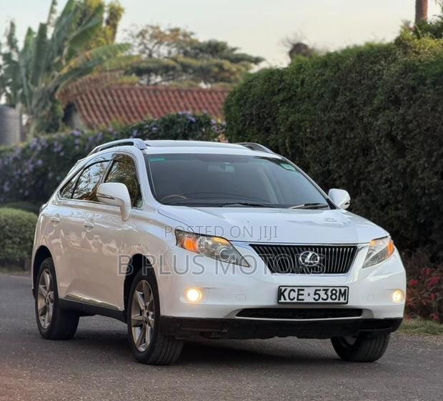 Lexus RX 2010 White