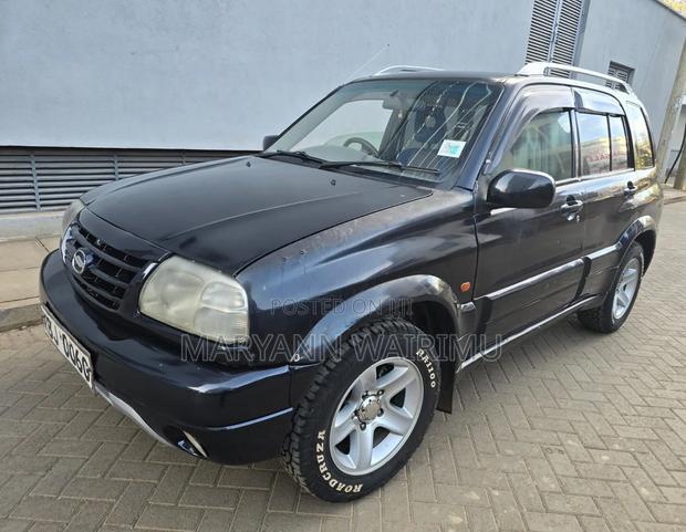 Suzuki Escudo 2002 Blue