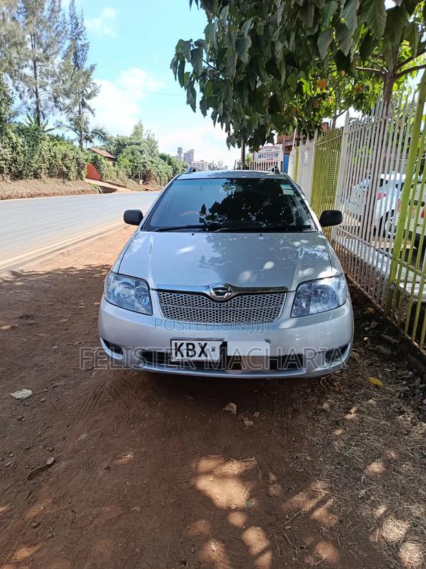 Toyota Corolla Fielder 2008 Silver
