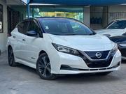 Nissan Leaf 2019 Pearl for sale