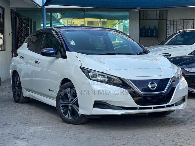 Nissan Leaf 2019 Pearl