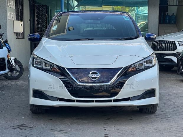 Nissan Leaf 2019 Pearl