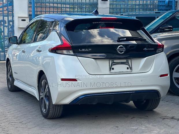 Nissan Leaf 2019 Pearl