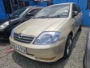 Toyota Corolla RunX 2006 Gold for sale