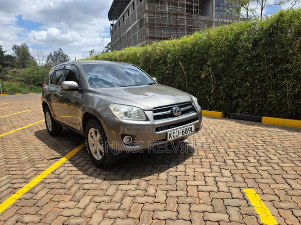 Toyota RAV4 2009 Brown