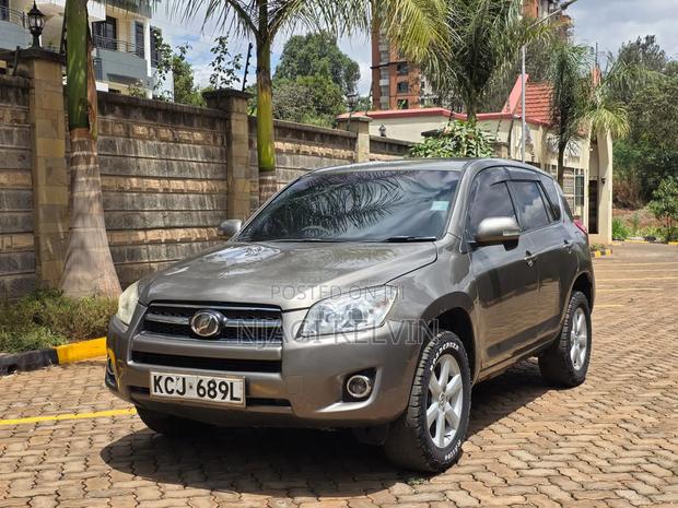 Toyota RAV4 2009 Brown