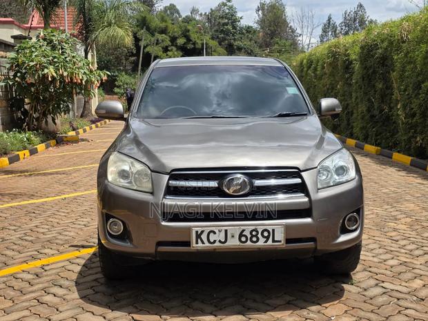 Toyota RAV4 2009 Brown