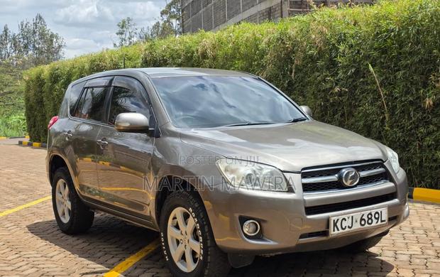 Toyota RAV4 2009 Gray
