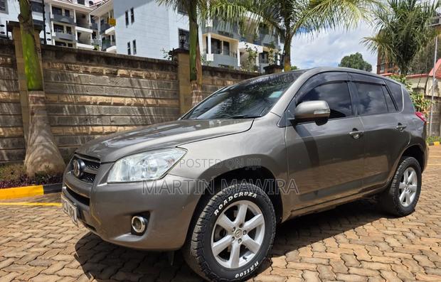 Toyota RAV4 2009 Gray