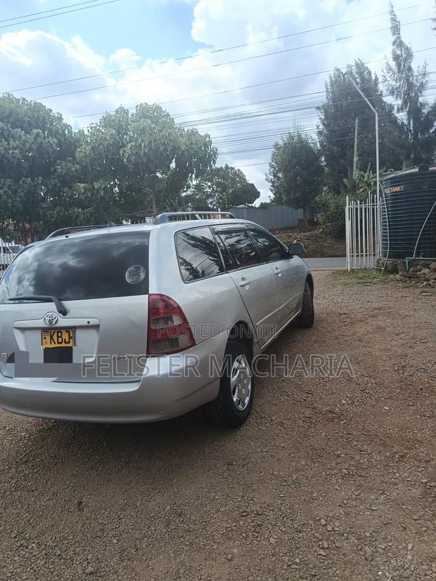 Toyota Corolla Fielder 2007 Silver