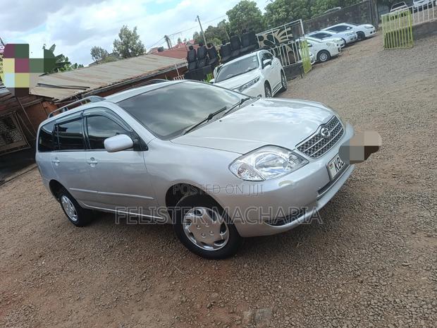 Toyota Corolla Fielder 2007 Silver