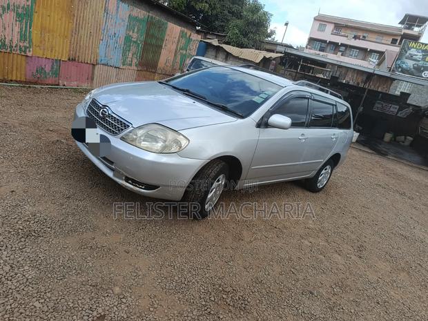 Toyota Corolla Fielder 2007 Silver