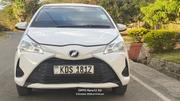 Toyota Vitz 2017 Pearl for sale