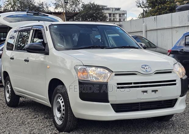 Toyota Probox 1.5 DX 4WD 2019 Pearl