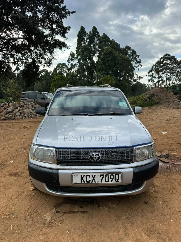 Toyota Probox 1.5 DX 2WD 2013 Silver
