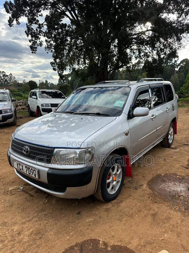 Toyota Probox 1.5 DX 2WD 2013 Silver