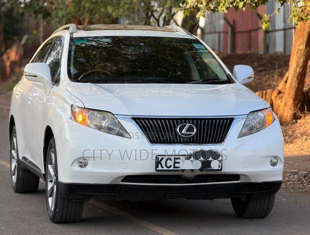 Lexus RX 2010 White
