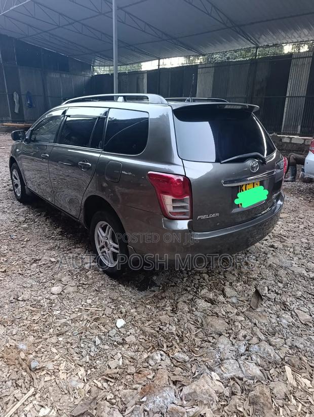 Toyota Corolla Fielder 2009 Gray