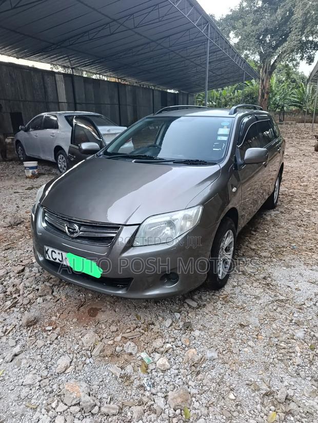 Toyota Corolla Fielder 2009 Gray