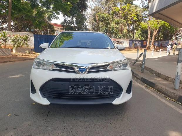 Toyota Corolla Fielder 2019 Silver