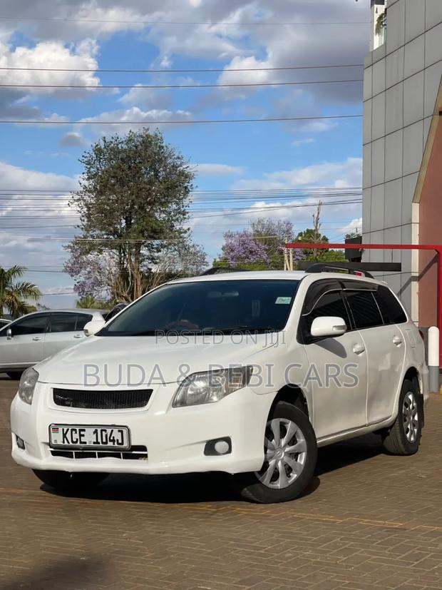 Toyota Corolla Fielder 2009 White