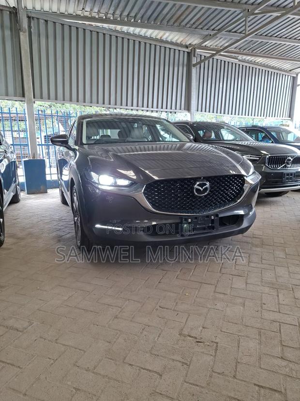 Mazda CX-30 Preferred i-Activ 2020 Gray