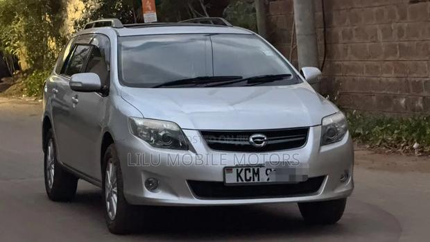 Toyota Corolla Fielder 2010 Silver