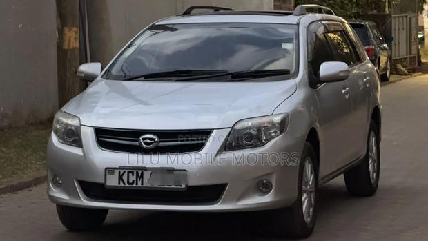 Toyota Corolla Fielder 2010 Silver
