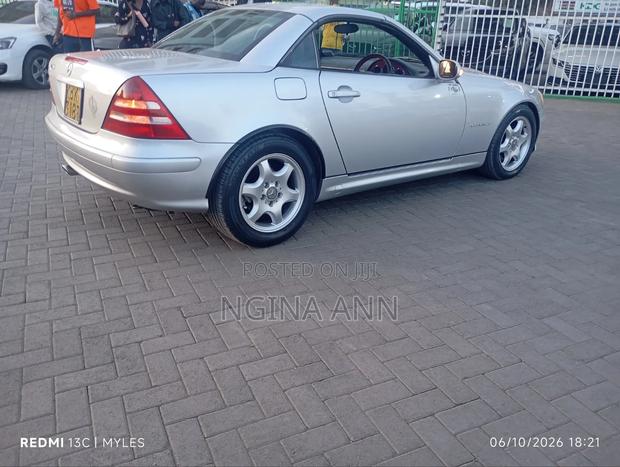 Mercedes-Benz SLK-Class 2004 Silver
