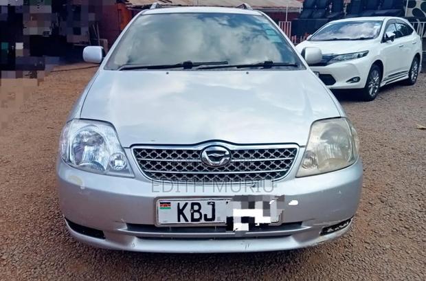 Toyota Corolla Fielder 2005 Silver