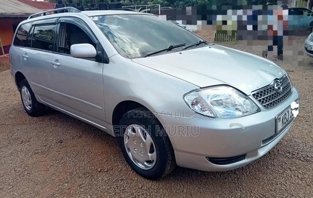 Toyota Corolla Fielder 2005 Silver